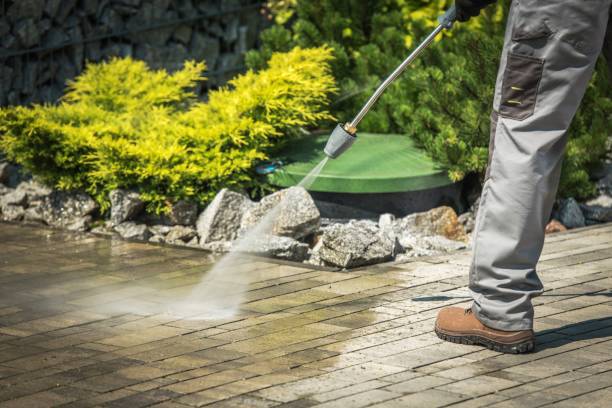 Best Playground Equipment Cleaning  in Forsgate, NJ