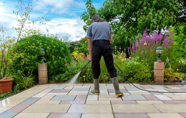 Best Driveway Pressure Washing  in Forsgate, NJ