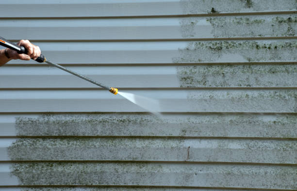 Best Fence Cleaning  in Forsgate, NJ